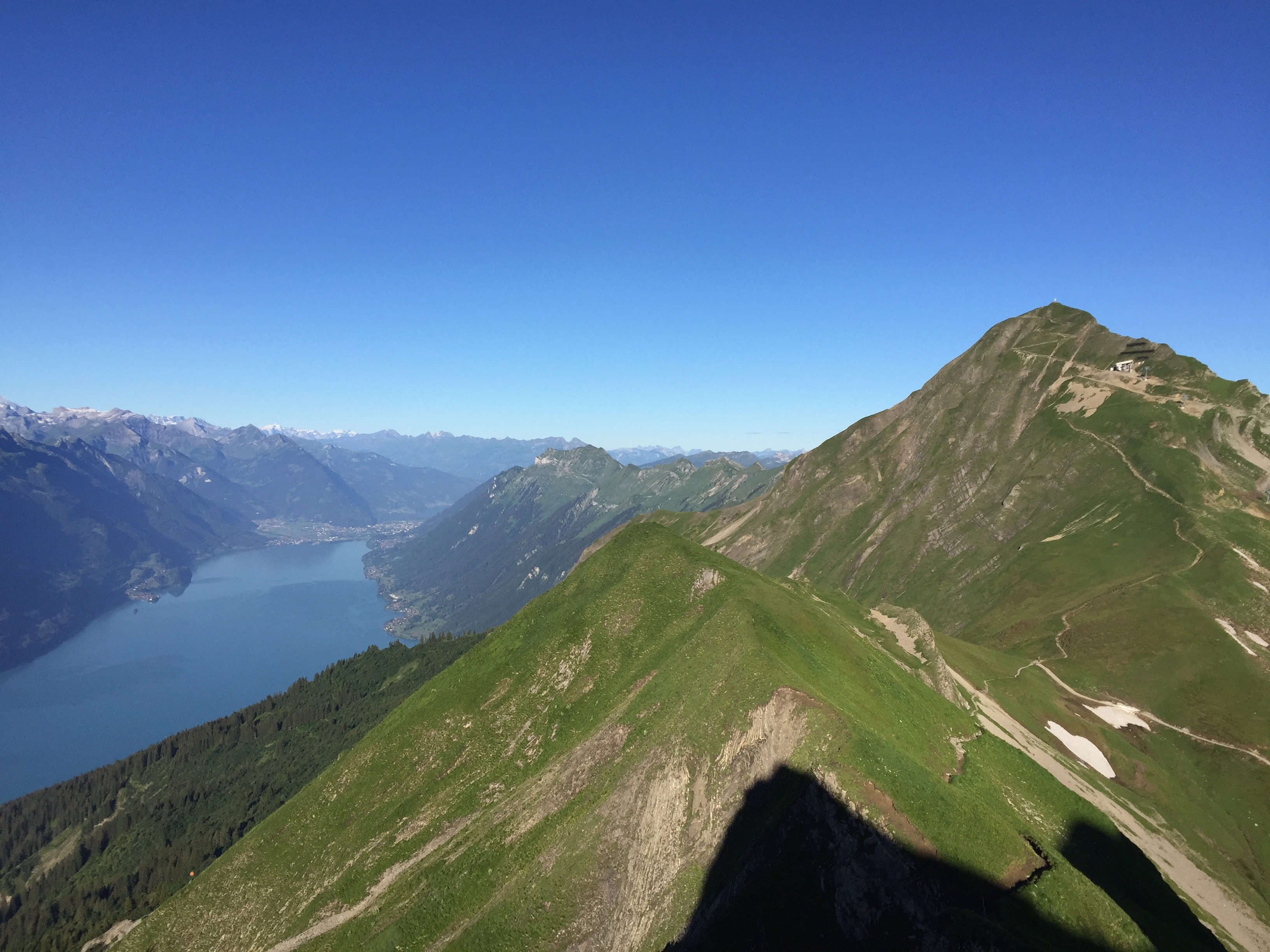 Lis Abbühl Coaching