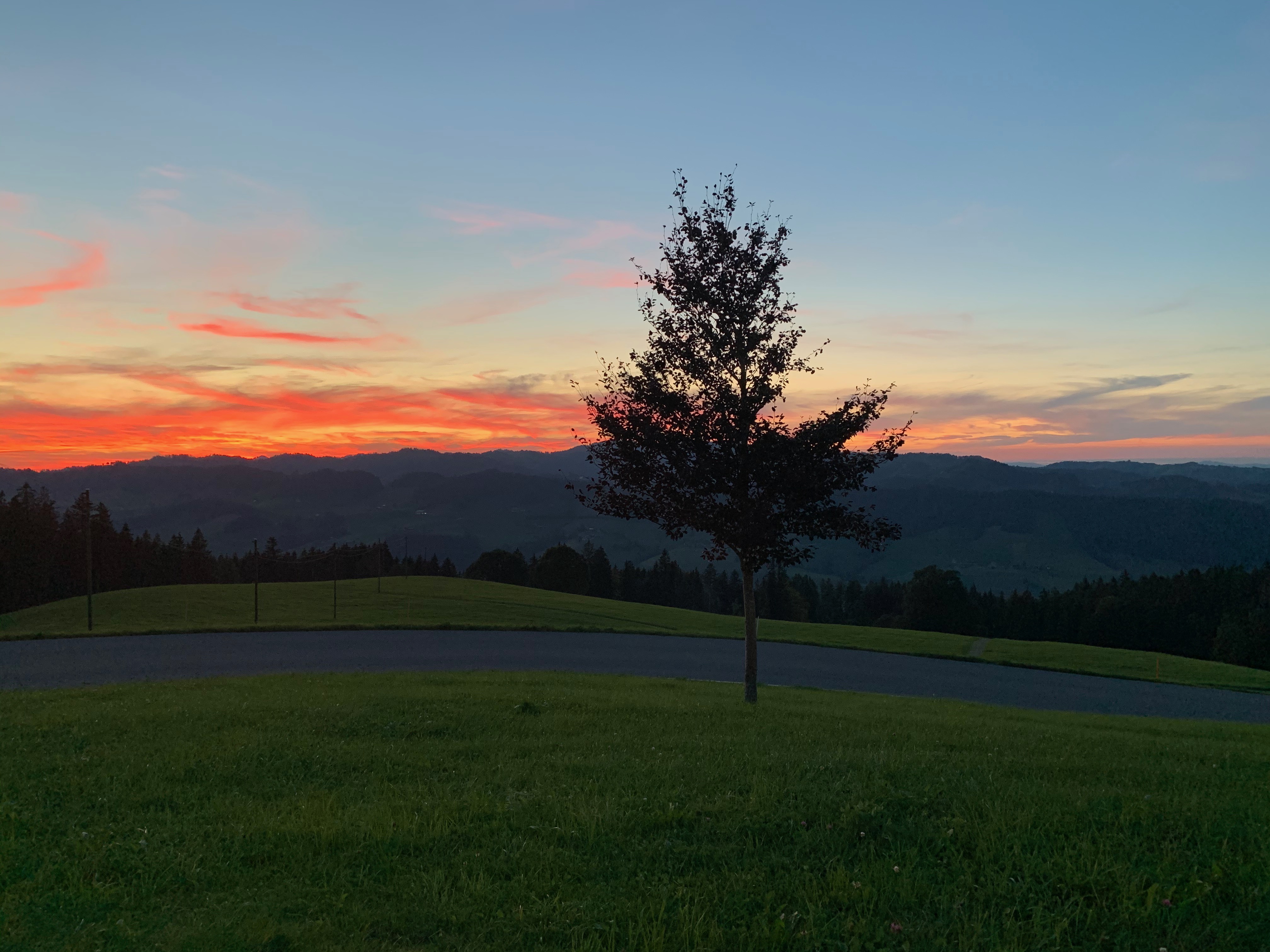 Lis Abbühl Coaching