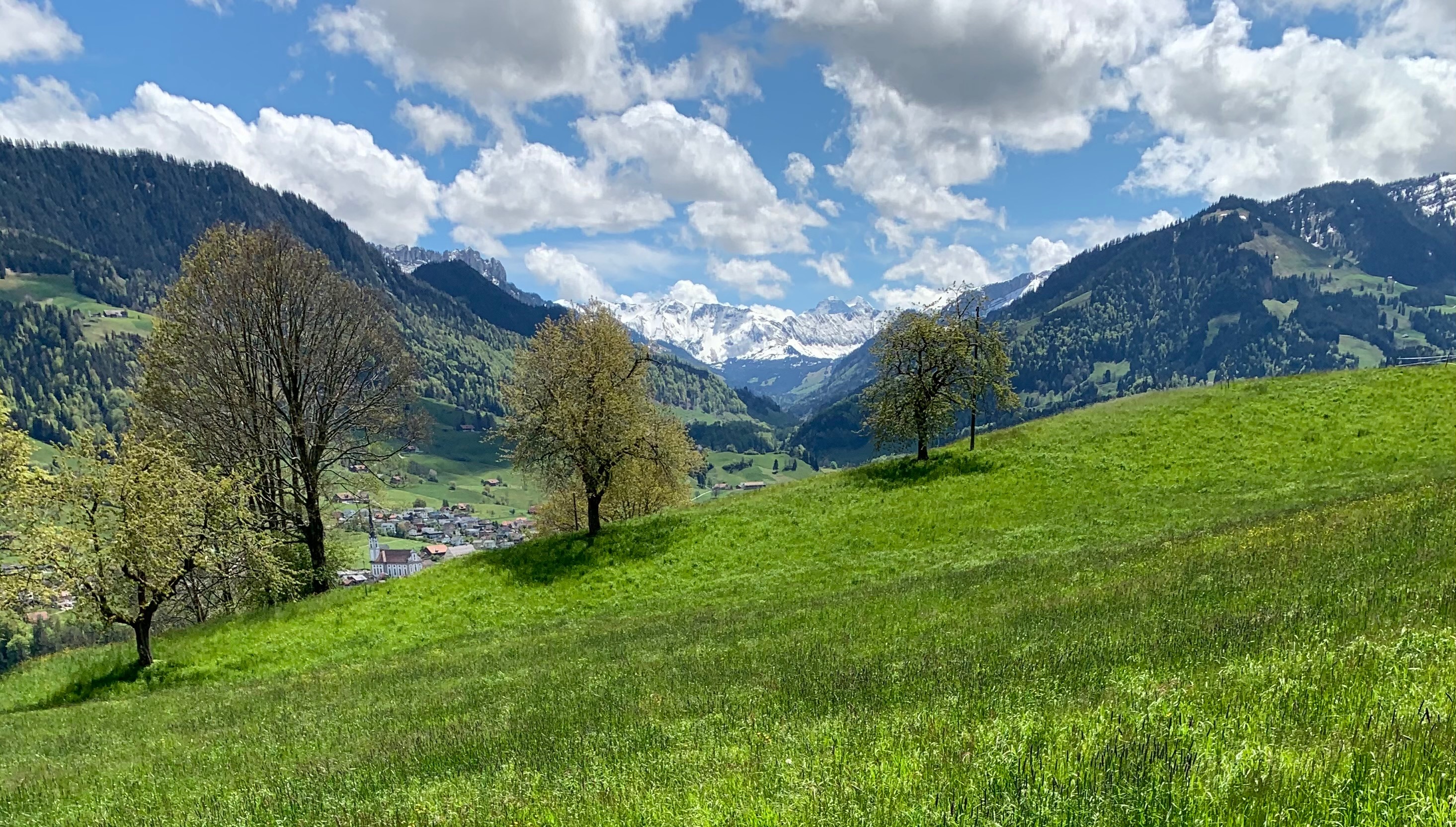 Lis Abbühl Coaching