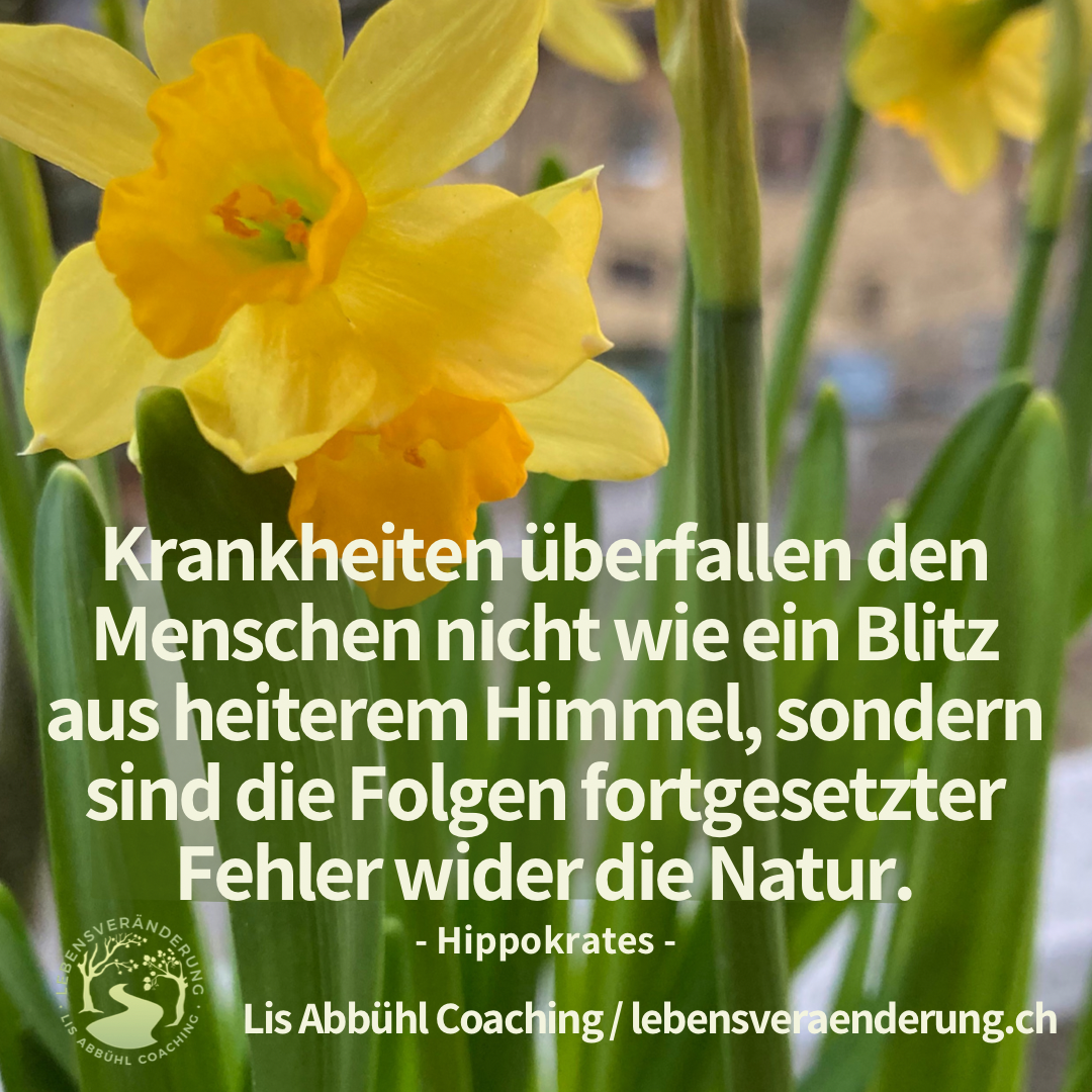 Du trägst die Lösung in dir!